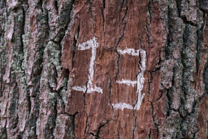 La psicología de la suerte.