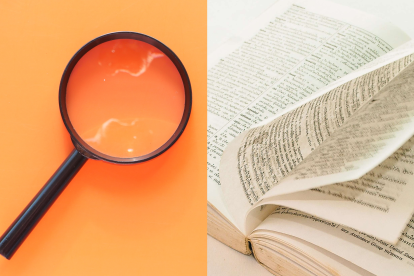 Nuevos términos fueron presentados el 28 de noviembre de 2023