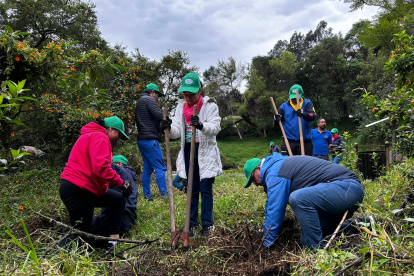 Acto. La siembra de árboles beneficia al medio ambiente.