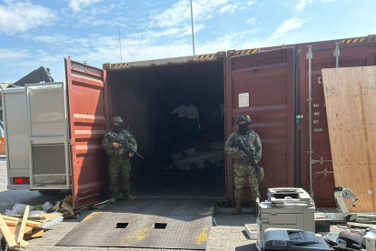 El hallazgo se dio en un operativo conjunto