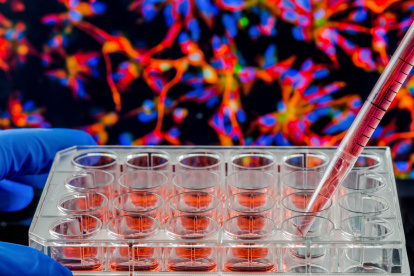 Imagen referencial. Medicina.