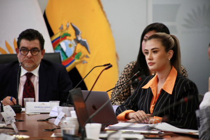 La presidenta del Consejo de Participación acudió presencialmente a la mesa legislativa.