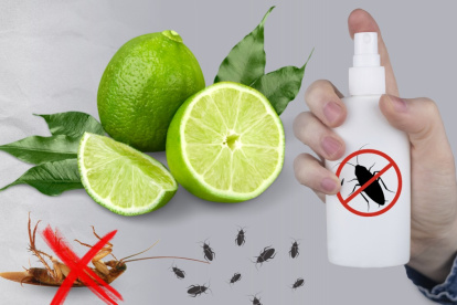 Limón para ahuyentar bichos