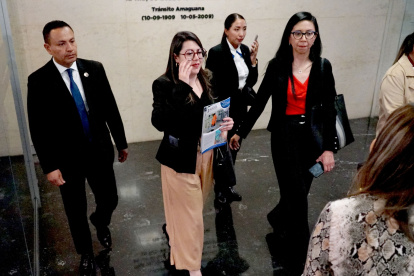 La funcionaria espera conseguir un precio más razonable para continuar comprando luz a Colombia, porque la crisis continúa.