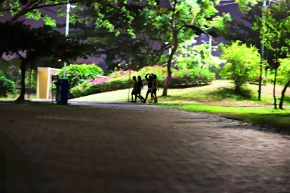Un malecón en el parque Samanes aspira construir el Municipio de Guayaquil.