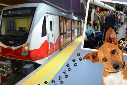 Información. El Municipio de Quito detalló que es permitido el acceso de mascotas al Metro, siempre y cuando pesen menos de 10 kilogramos.