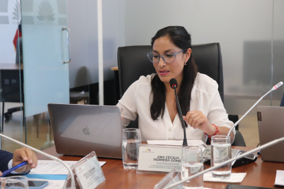 La asambleísta del correísmo, Ana Herrera, será la ponente de la ley ante el pleno de la Asamblea.