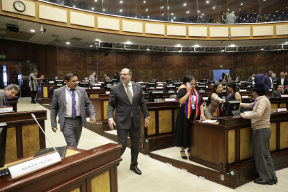 El presidente Henry Kronfle explicó que la asambleísta Garzón subsanó su petición.