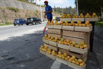 1. Ruta Viva. Esta avenida se ha convertido en el escenario para que diferentes comerciantes oferten los productos.
