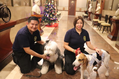Protección. En la campaña se brindarán consejos para cuidar a las mascota de la pirotecnia.
