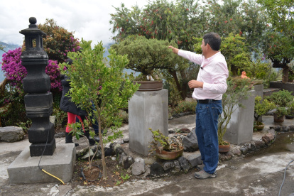 El museo de árboles bonsái también es un parque temático donde los turistas pueden aprender sobre las técnicas del cuidado de este árbol de más de 3 mil años de historia