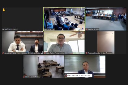 Además de sus defensas, Terán y Ramírez intervinieron en la audiencia por medios telemáticos.