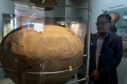 Una persona observa una pieza arqueológica de la cultura Machinaza, que habitó un parte de la Amazonía de Ecuador, el 12 de diciembre del 2023, en Zamora (Ecuador).