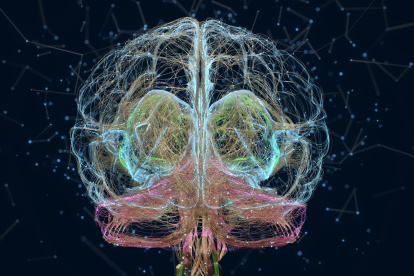 Los investigadores crearon este organoide mediante el cultivo artificial de células madre humanas.