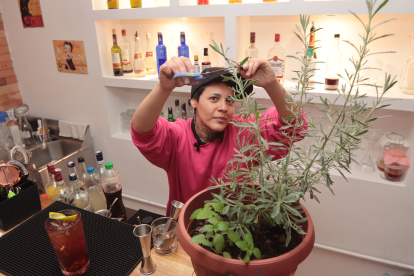 Pasiflora, manzanilla, caléndulas, tomillo, cedrón y lavanda son algunas de las plantas que la barténder y botanista cultiva en el pequeño huerto de ‘Jardina’.