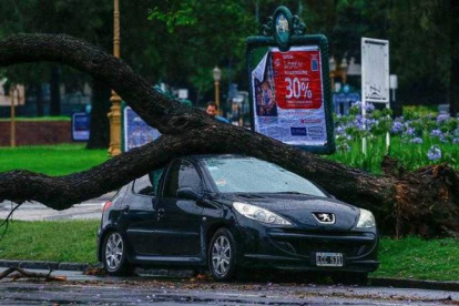El temporal causó destrozos en varias ciudades de Argentina