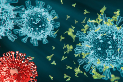 Caso. La nueva variante fue detectada por el Ministerio de Salud Pública, es un paciente que reside Quito.