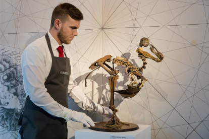 Un empleado coloca el esqueleto de un pájaro dodo de las islas Mauricio, fechado entorno al 1690, durante un pase de prensa con motivo de la subasta de la casa Christie, en Londres (Reino Unido).