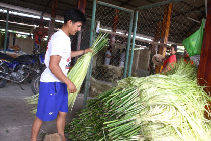 Producción. Cuenca y Manabí han elevado los pedidos del material.
