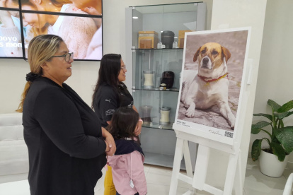 La muestra busca sensibilizar a la gente sobre el rescate de los animales.