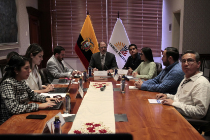 La moción con el presupuesto de 2024 fue presentado por la asambleísta del correísmo, Viviana Veloz.