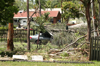 Queensland. Un coche dañado por árboles tras una tormenta.