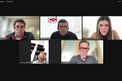 Asamblea. La Comisión sesionó vía on line para avanzar con el proyecto de ley enviado por el presidente Daniel Noboa.