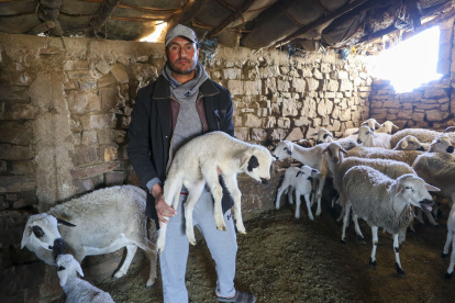Abdelqader Badaui, agricultor y ganadero del pueblo Oulad Blad, a unos 90 kilómetros al este de Rabat muestra su rebaño en Oulad Blad (Marrueos).