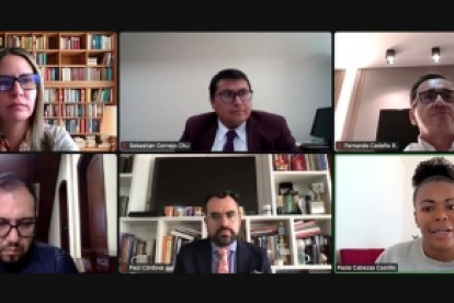 Expertos participaron de forma telemática en la sesión de la Comisión de Justicia.