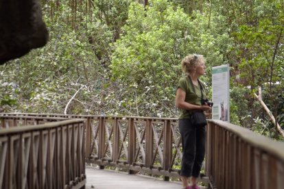 El manglar está ubicado en el interior del Parque Histórico en Samborondón. A diario decenas de personas transitan cerca a este ecosistema