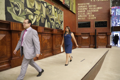La exlegisadora Rocío Guanoluisa participó de la sesión del pleno en comisión general.