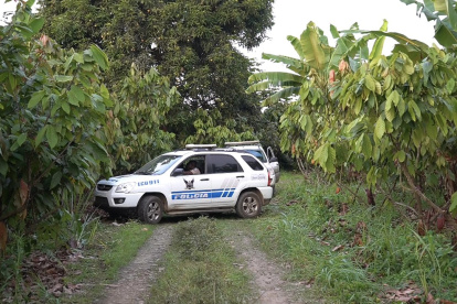 Lugar. Los cuerpos fueron hallados en una zona de difícil acceso, lleno de plantaciones.