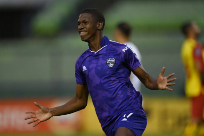 tecnico universitario