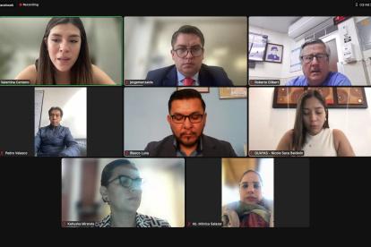 La sesión de la mesa de Desarrollo Económico se realizó de manera telemática.