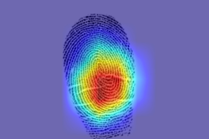 El mapa desarrollado por ingenieros estadounidenses destaca las zonas que contribuyen a la similitud entre las dos huellas dactilares de la misma persona.