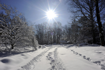 Un manto de nieve en Burke, Virginia, en Estados Unidos.