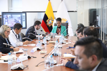 La legisladora del correísmo, Paola Cabezas, propone un impuesto a las utilidades de los bancos.