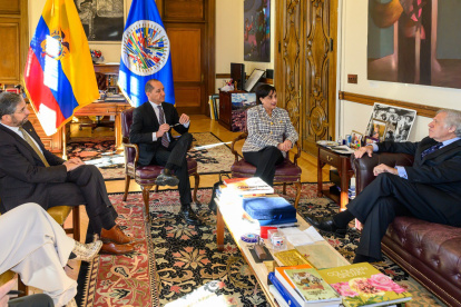 El Secretario general de la Organización de Estados Americanos se reunió con la diplomacia ecuatoriana para analiazar las medidas de seguridad adoptadas.