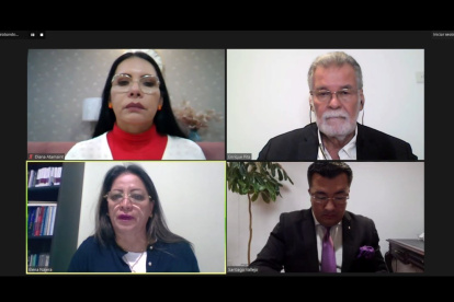 La mayoría del Consejo sesionó de manera virtual.