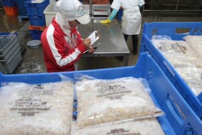 El 17 % de la oferta de camarón nacional se va al mercado estadounidense.