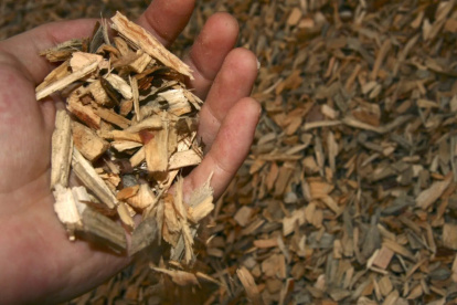 Ecología.- Más países se interesan en trabajar con la biomasa.