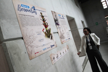 La exposición se encontrará en el vestíbulo de la estación San Francisco, se mostrará en vitrinas y fotografías la historia de la Plaza.