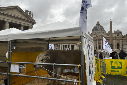 Decenas de ganaderos y ciudadanos llevan sus animales y mascotas a la plaza de San Pedro del Vaticano para su bendición por el día de San Antón.