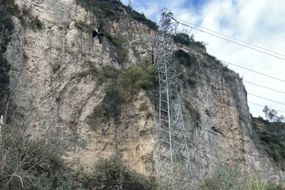 Personal técnico de la Administración Zonal acudió al sitio para verificar la magnitud del deslizamiento