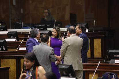 La ministra del Interior (e), Mónica Palencia, cuestionó que la clase política no enfoque el problema de la violencia.