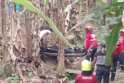 Rescate. Agentes recuperaron el cuerpo que estaba entre plátanos.