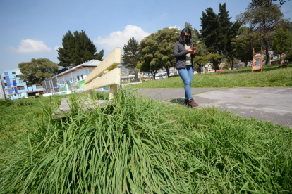 Arreglos. El Municipio ejecutará tareas de mejoramiento en los parques de Quito.