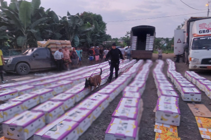 Policía Nacional localiza dos vehículos de carga pesada (tráiler y furgón), que eran utilizados para el transporte de droga en el cantón Simón Bolívar.