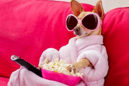 Prepara tu agenda, ajusta tus horarios y únete a un viaje lleno de suspense, risas y emociones inolvidables.