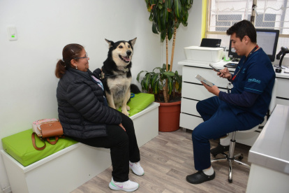 Para que la mascota se quede en el hospedaje es importante un chequeo previo.